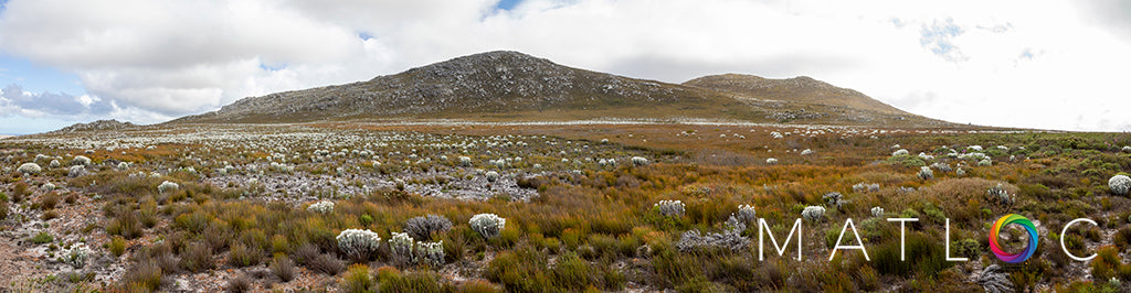 Cape Point