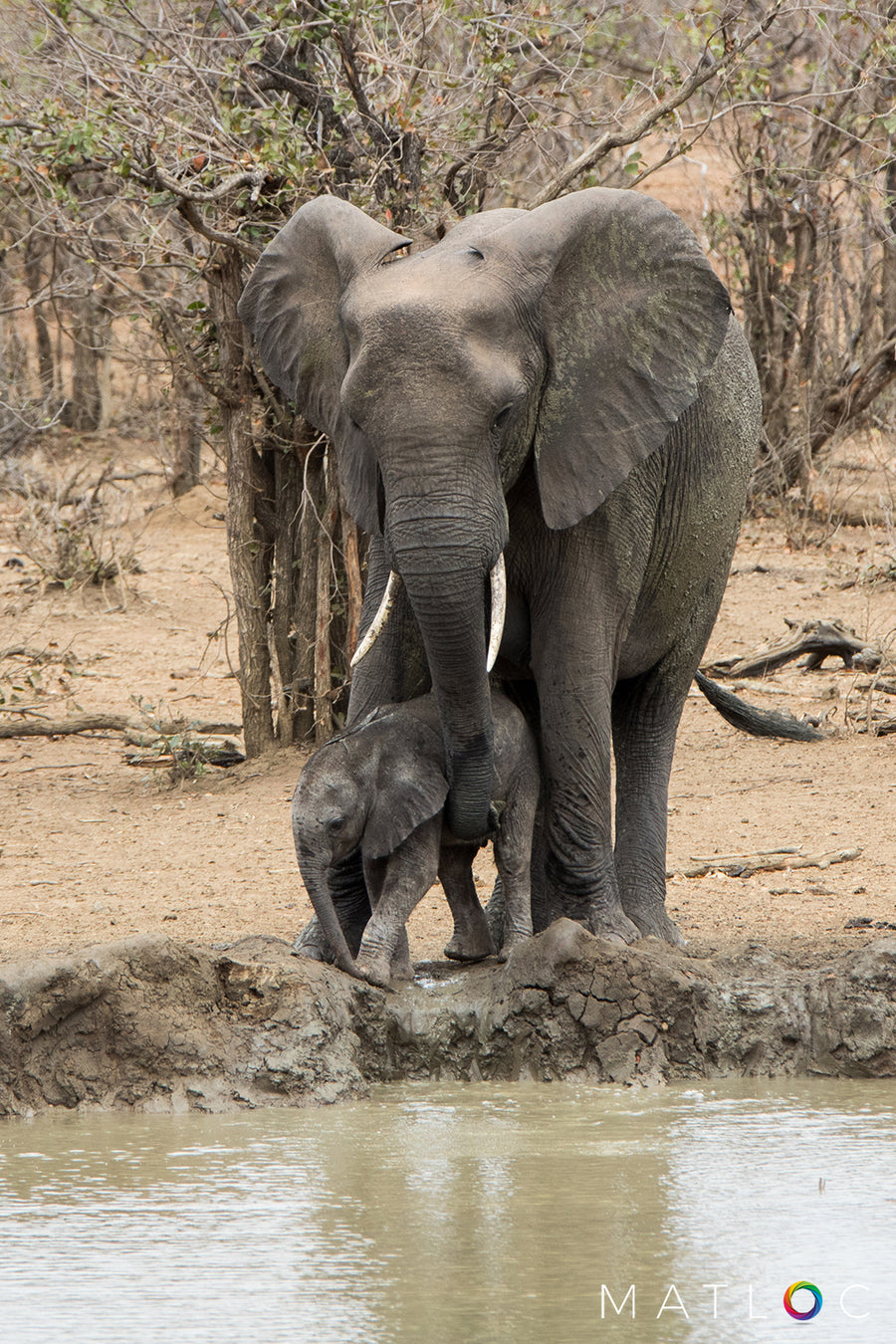 Protective Mother